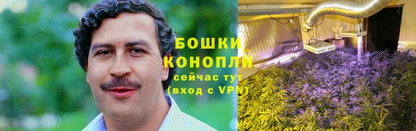 мяу мяу мука Переславль-Залесский