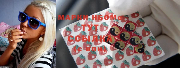 шишки Дегтярск