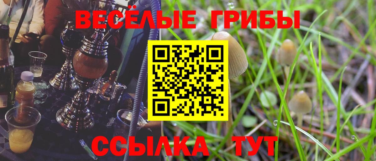 Красноперекопск  Галлюциногенные грибы Magic Shrooms  Псилоцибиновые грибы прущие грибы  Вход с VPN 